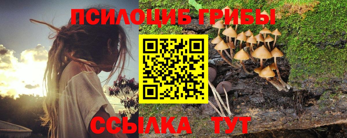 Псилоцибиновые грибы мицелий Ачинск